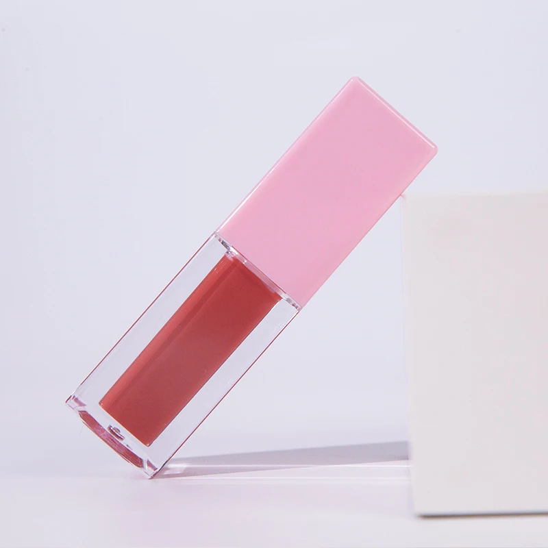 OEM ODM Factory Dark Skin Use Make Up Vegan Waterproof Long Lasting Moist Lip Cosmetics Lip Gloss Supplies