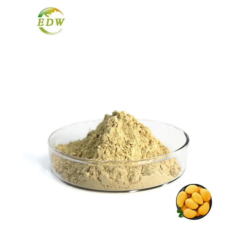 Pure 100% Fresh Dried Mango Flavor Juice Powder Mango Pure Mango Powder Factory Bulk Supply