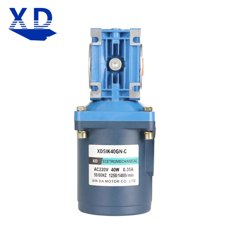 220V AC turbine reducer motor 40W slow micro motor small worm positive and negative large torque motor