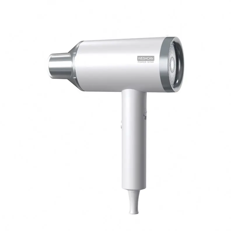 WESHCAN Wholesale Professional Fashionable Hair Dryer for Bathroom Luxurious ABS Hair Dryer 220V/110V