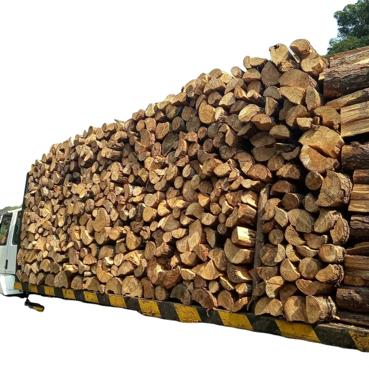 Сосны сельскохозяйственных отходов высокого качества бревна для различных целей