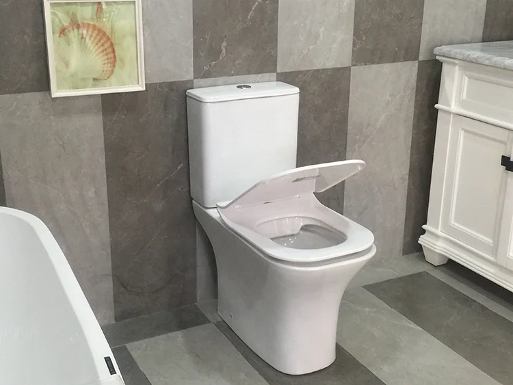 Sanitary Ware Ceramic WC Washdown P-Trap Toilet Closestool