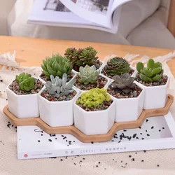 Simple white creative succulent plant ceramic small hexagonal set 9 with bamboo bracket zakka combination potted flower pot