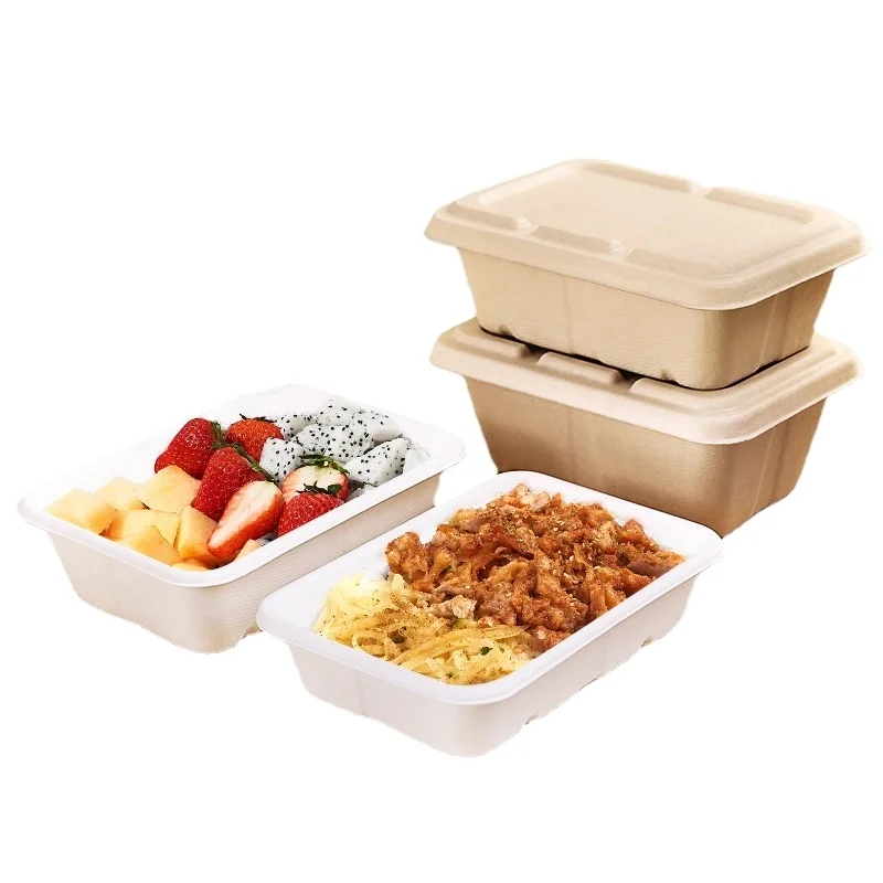 Custom Biodegradable Compostable Sugarcane Bagasse Sugar Cane Disposable Food Container Takeaway Packaging Lunch Box For Food