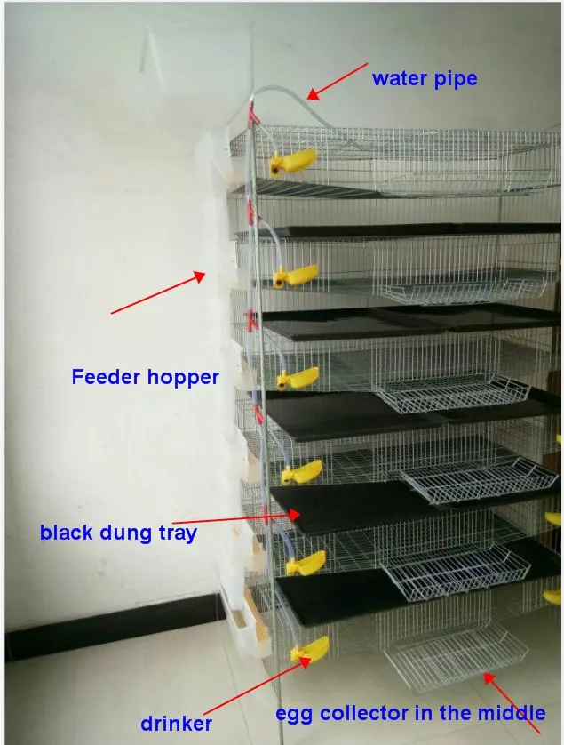 animal & poultry husbandry equipment quail layer cage HJ-QC400A 6 Tiers H type quail cages for egg production