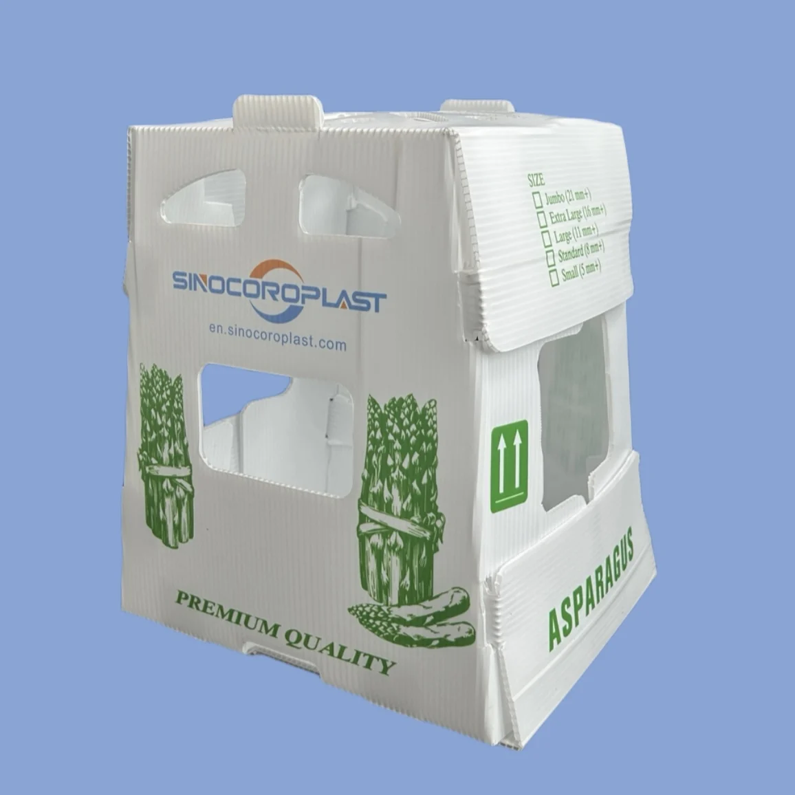 Wholesale Custom Foldable Plastic Corrugated Fresh Printed Folding Fruit Storage Packaging Packing PP Coroplast Box For Fruit