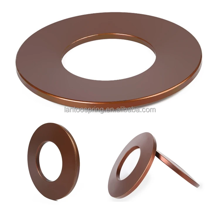 disc spring (53)