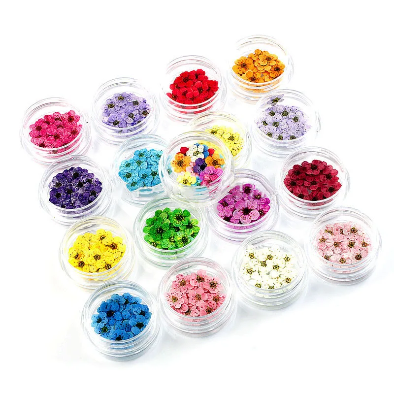 12pcs boxed Dried Flower Pressed Flower Epoxy Resin Handmade Material Plum Blossom Daffodil Phone Case DIY Nail Art Crafts