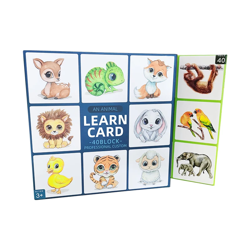 FREE SAMPLE  Custom Educational Paper Promotional Card Custom Printing Funny Learning Flash Memory Card Game For Children