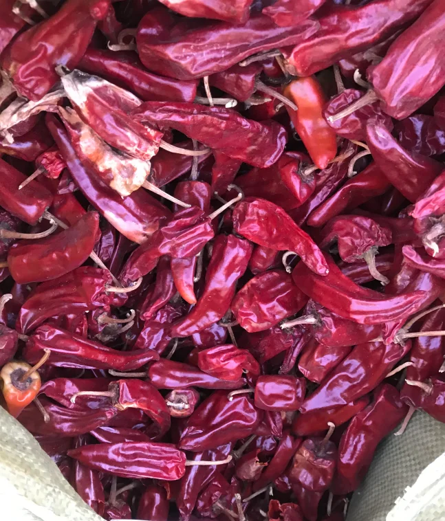2022 new crop yidu red chili dry red chili for sale beijing red chili