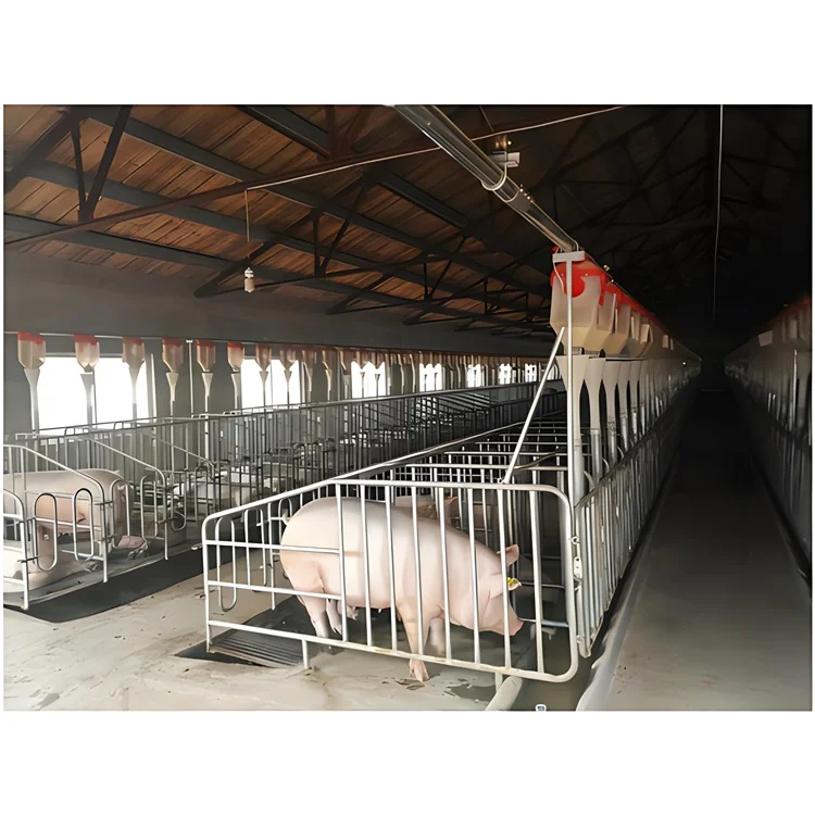 Wholesale Pig Farm Stall Steel Animal Cages with Feeder Positioning Bar Farm Pig Equipment Sow Gestation Crate Pen House