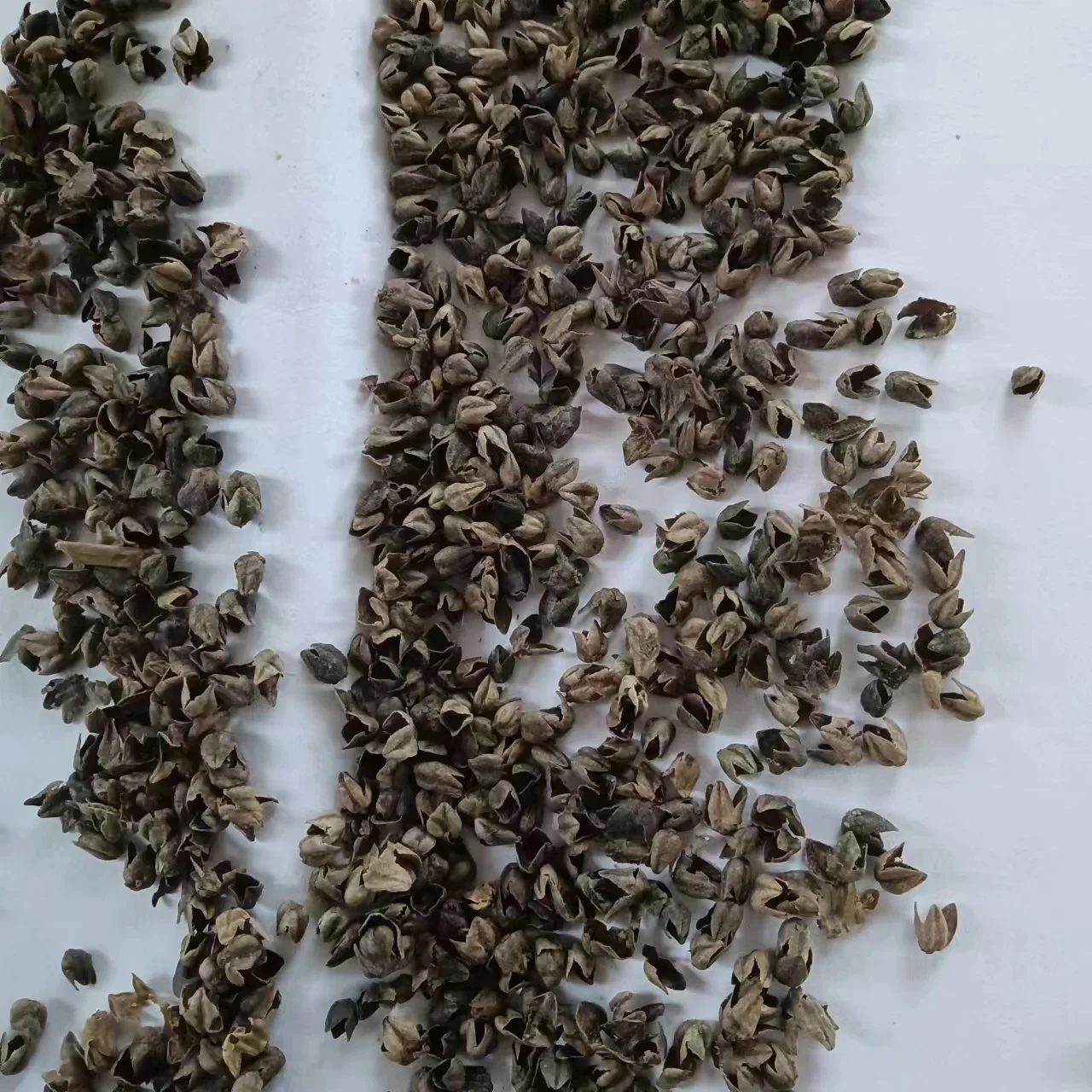 Filling Pillow Organic Raw And Roasted Bitter Tartary Buckwheat Hull Shell Bulk Buckwheat Hulls