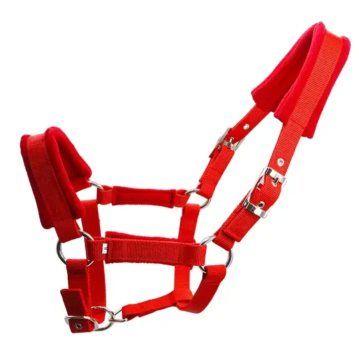 Elastic Horse Cohesive Bandage Equestrian Products Halter With Beaded Lead Rope Of the Highest Color Package Easy Material