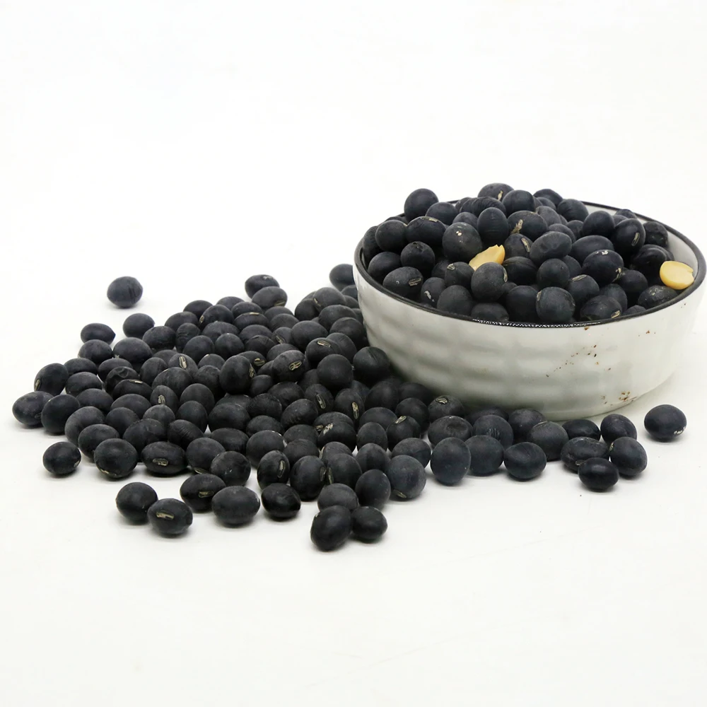 Сделано в Китае, высшее качество, оптом, черная соевая фасоль, органические черные бобы