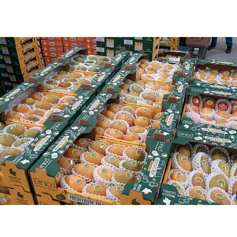 Premium Quality Fresh Fruit Colombian Mango Fresh Exotic Fruits Sugar Baby Mango