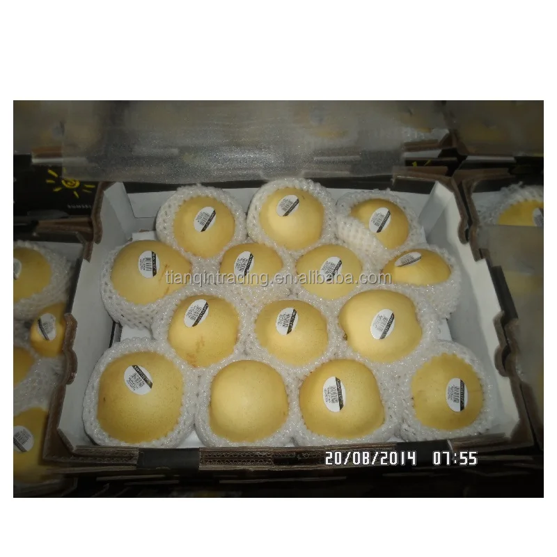 fresh Golden Pear of new crop with factory price with GAP certificate