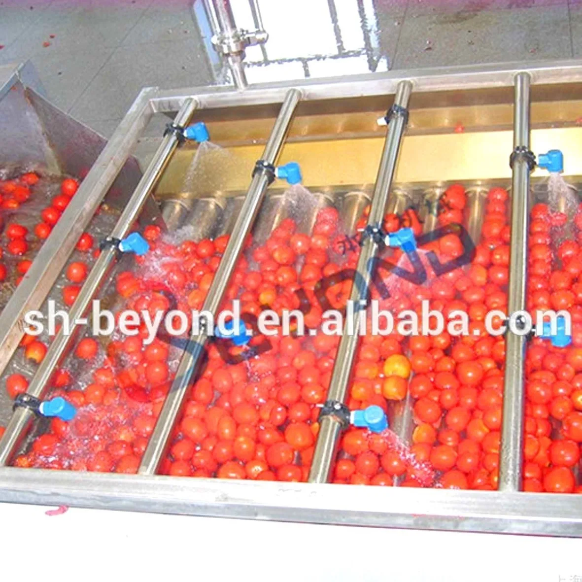 Fruit apricot juice production line cherry sorting machine