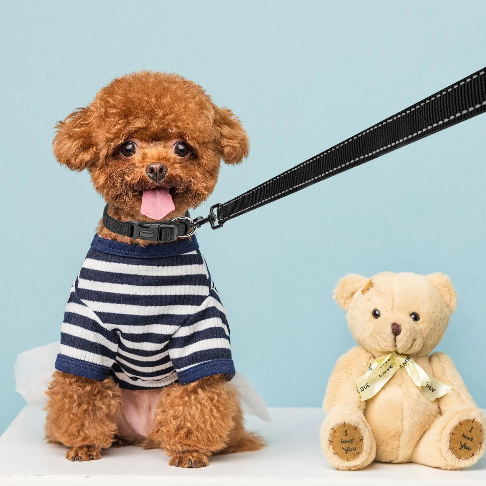 5 Feet Nylon Dog Leash with Triple Reflective Threads and Comfortable Padded Handle for Walking