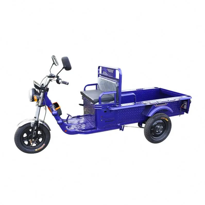 Electric Kit Enclosed Bike 300Cc Mobility Scruter Brick Closed Deliveryman Front Basket Baby Boys Passenger Eggs Cargo Tricycle