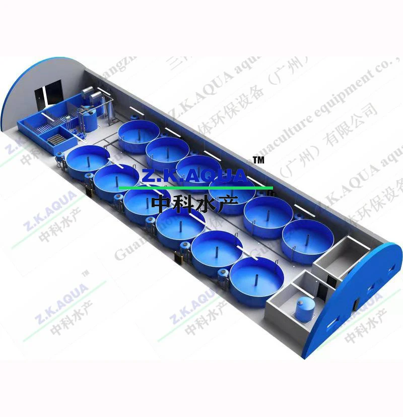 Factory Direct Sale Aquaculture Equipment Recirculating Aquaculture Systems Ras