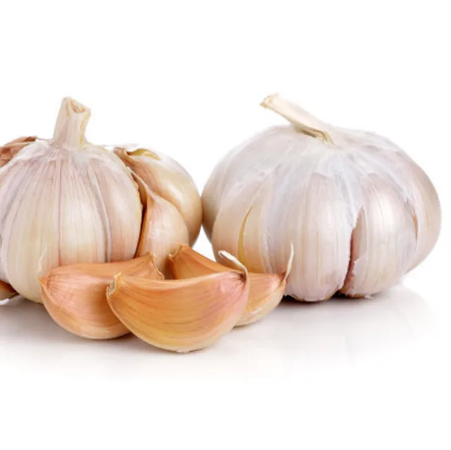 Best Deal Today Import Factory Supplier for  Normal White Garlic Fresh Garlic  Red Chinese Garlic
