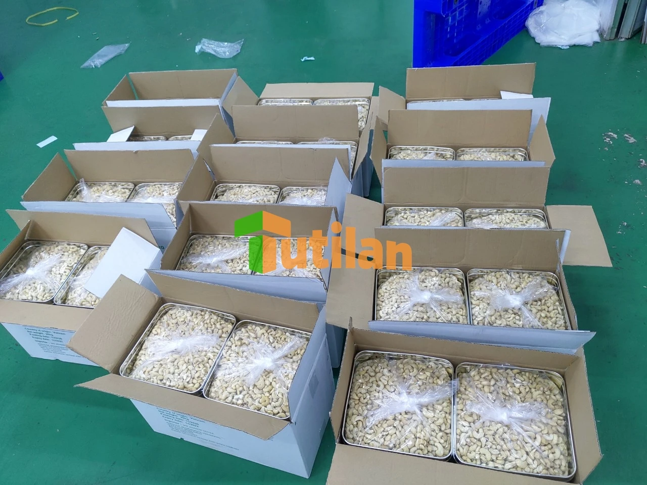 Wholesale Vietnamese High Quality Raw Cashew Nuts With Best Price And All Size Raw Cashew Nuts