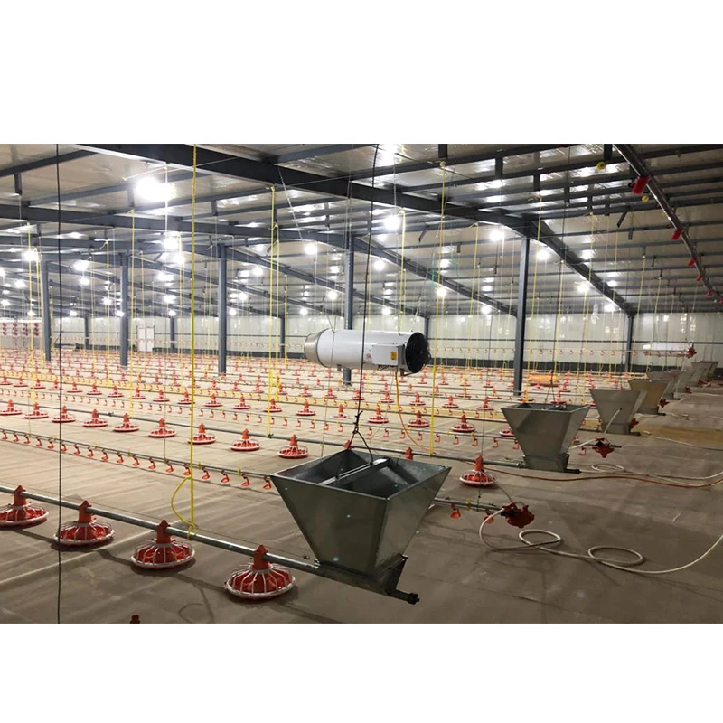 Коммерческий куриный Бройлер птицеводство стальная конструкция дизайн дома для