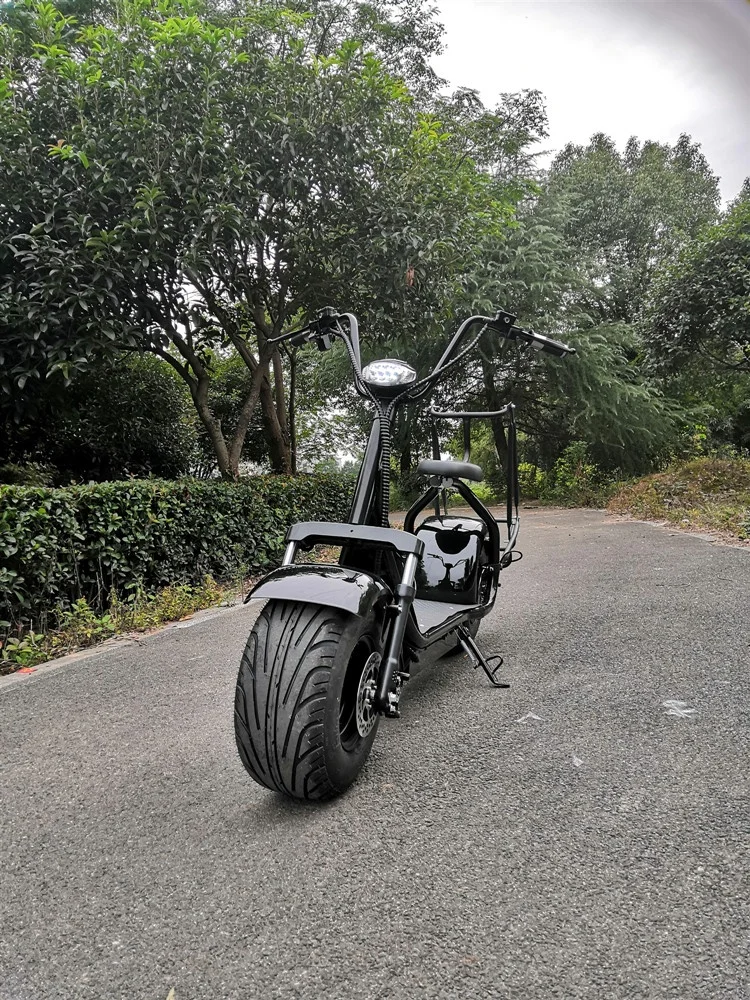 citycoco electric motorcycle scooter  with golf holder at cheap price