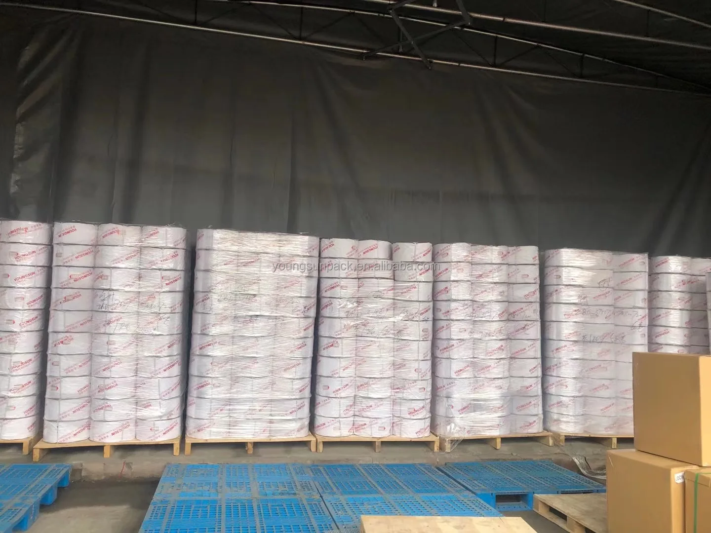 12*0.6 PP Straps PP Band Straps Polyester Strapping Band