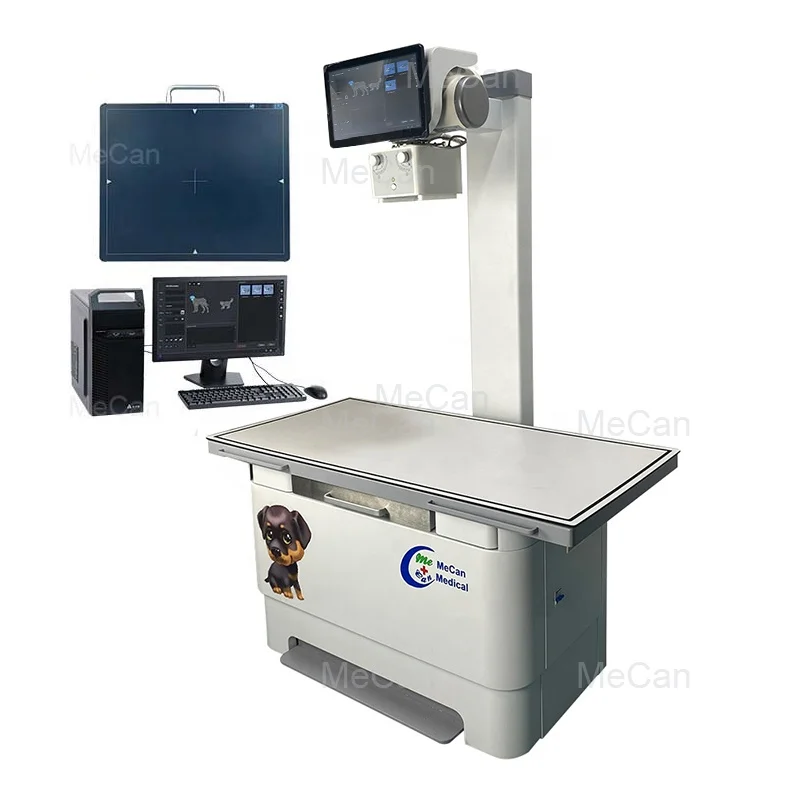 Stationary Animal X-ray Radiography Equipment Pet X Ray Machine Table Bed Portable Digital Veterinary Xray Machine For Vet