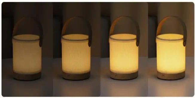 modern portable lamp.jpg