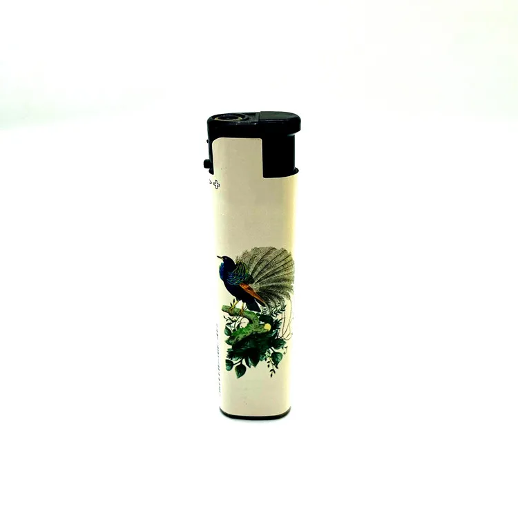Cheap Windproof Electronic Lighter Wholesale Lighter Cigarettes
