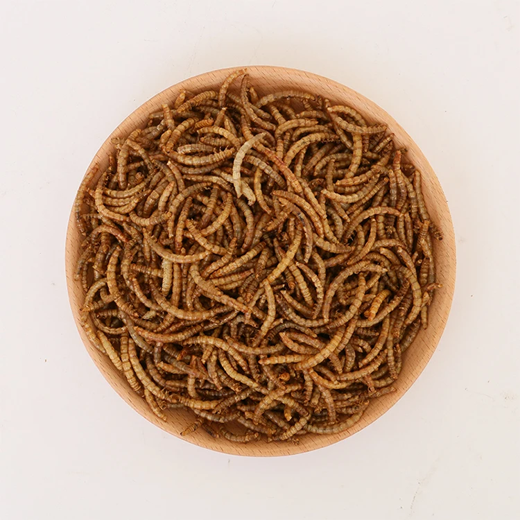 Hot Selling Pet Small Snacks Safe Clean Nutrient Dried Mealworms For Hamster