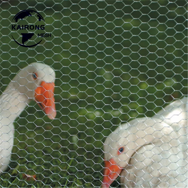 Cheap Price 1.5 Inch 18 Gauge Hot Dipped Galvanized Hexagonal Wire Mesh