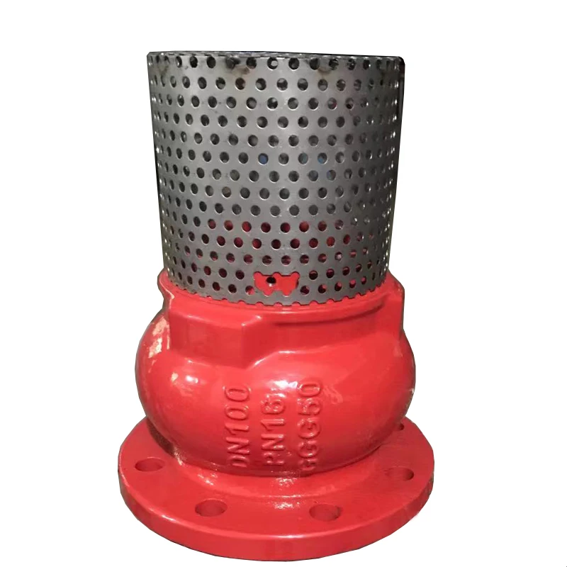 DN100 PN16 Cast Iron GG25 Flange Foot Valve for Water Pump