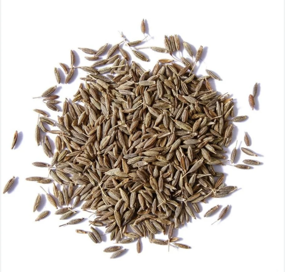Organic Cumin Seeds single spices cumin seed cumin-price Sesame seed Agriculture Best Product From Thailand