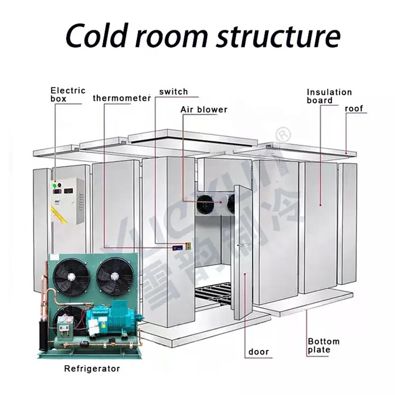 Freezer room refrigeration mini cold storage equipment for meat