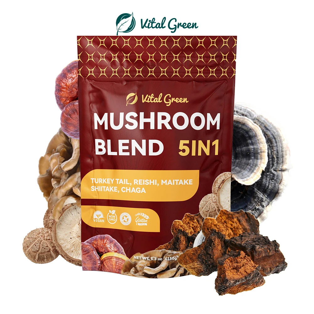 10:1 Reishi Chaga Mushroom Mix Extract Powder Turkey Tail Mushroom Powder Organic Maitake Shiitake Mushroom Blend Extract Powder