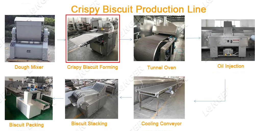 Sandwich Biscuit Making Machine|Biscuit Sandwich Machine