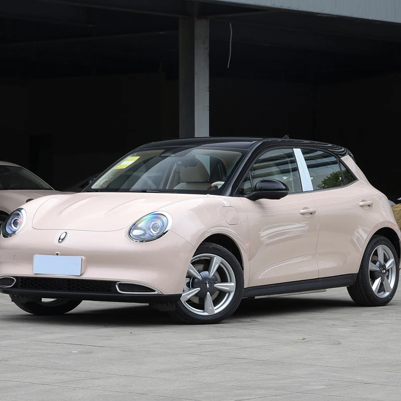 Used GWM Hot Sales Luxury minicar Fiat 500 couple Electric New Energy Vehicles For GWM Ora Good Cat 2023 401km