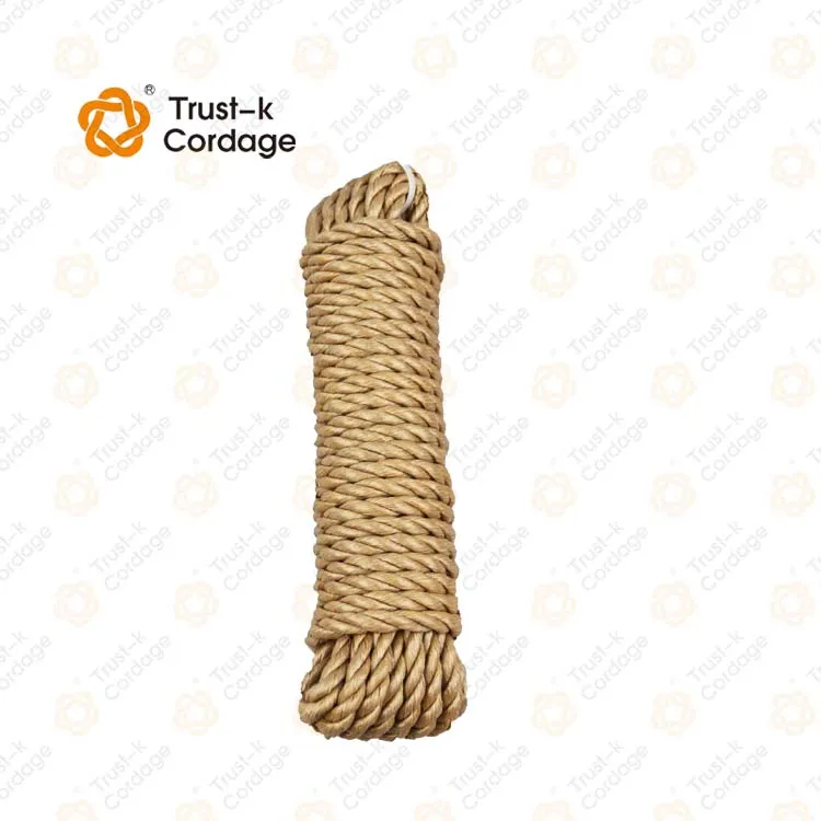PP Danline Rope Marine Rope  3mm-60mm with high quality and best price