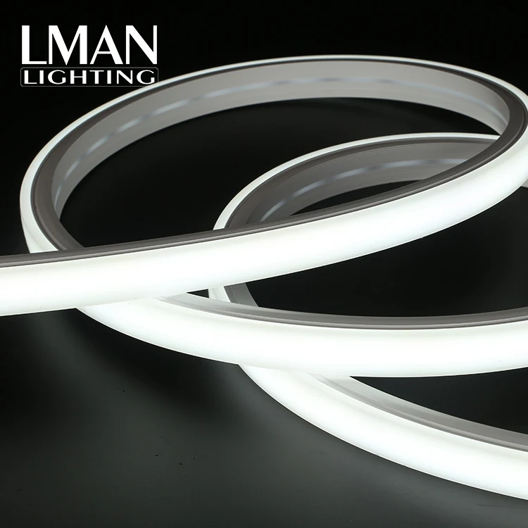 Garden Christmas Festive Decoration Ip65 20*14mm 120led/m Smd 2835 Dc 12v 24v 8w Led Neon Light