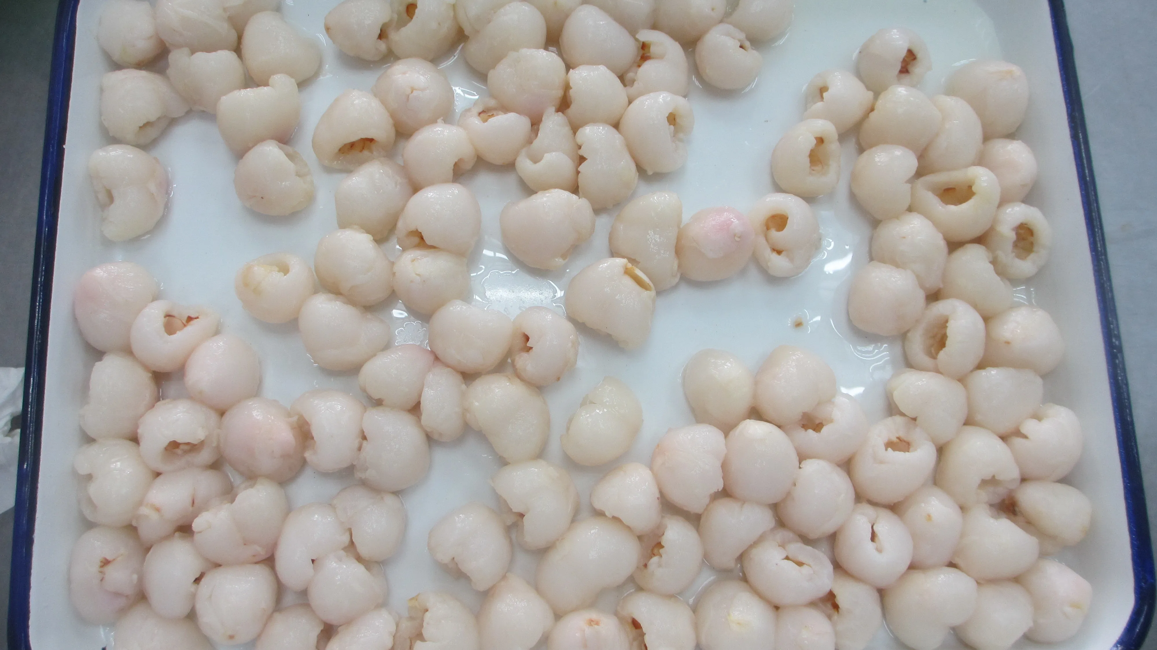 
canned lychee in tin in canned fruits 