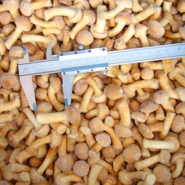 
2020 iqf frozen pholiota nameko mushroom 