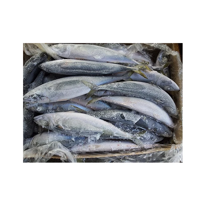 Fresh frozen seafood prices frozen mackerel fish made in Japan