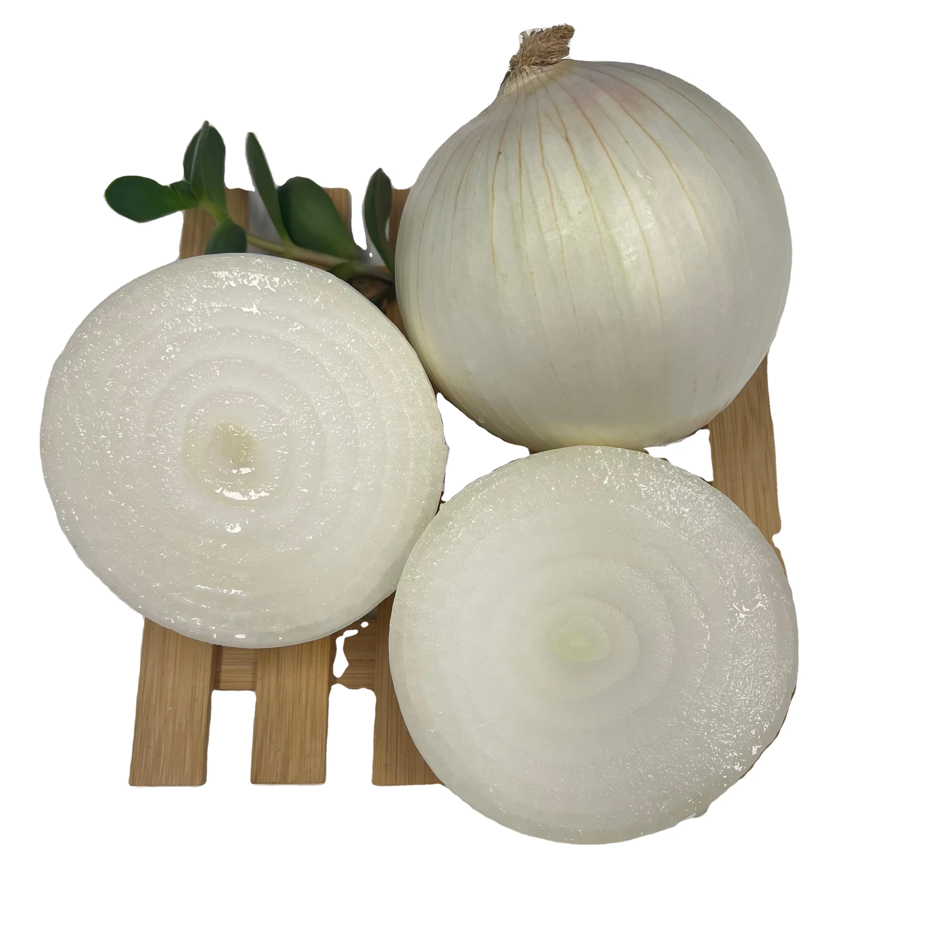 Fresh Onion Bulk Newest Crop high quality Professional Export Fresh Onion Wholesale