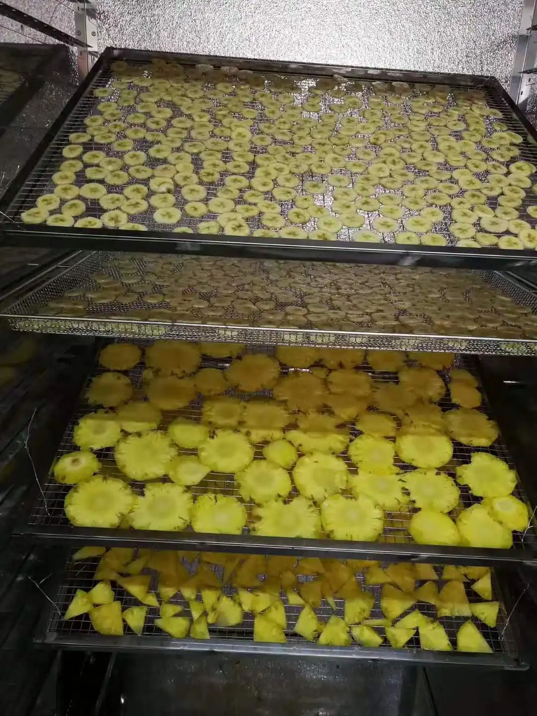 AIM Energy Saving Heat Pump SS 304 Tray Type Red Dates Black Currant  Raspberry Loquat Dryer Drying Machine Equipment Dehydrator