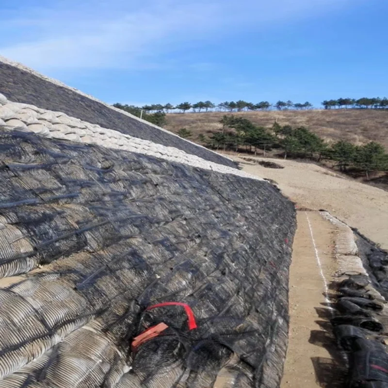 Geogrid Playground Pp Biaxial geogrid Road Roll For Roads And Railways From China