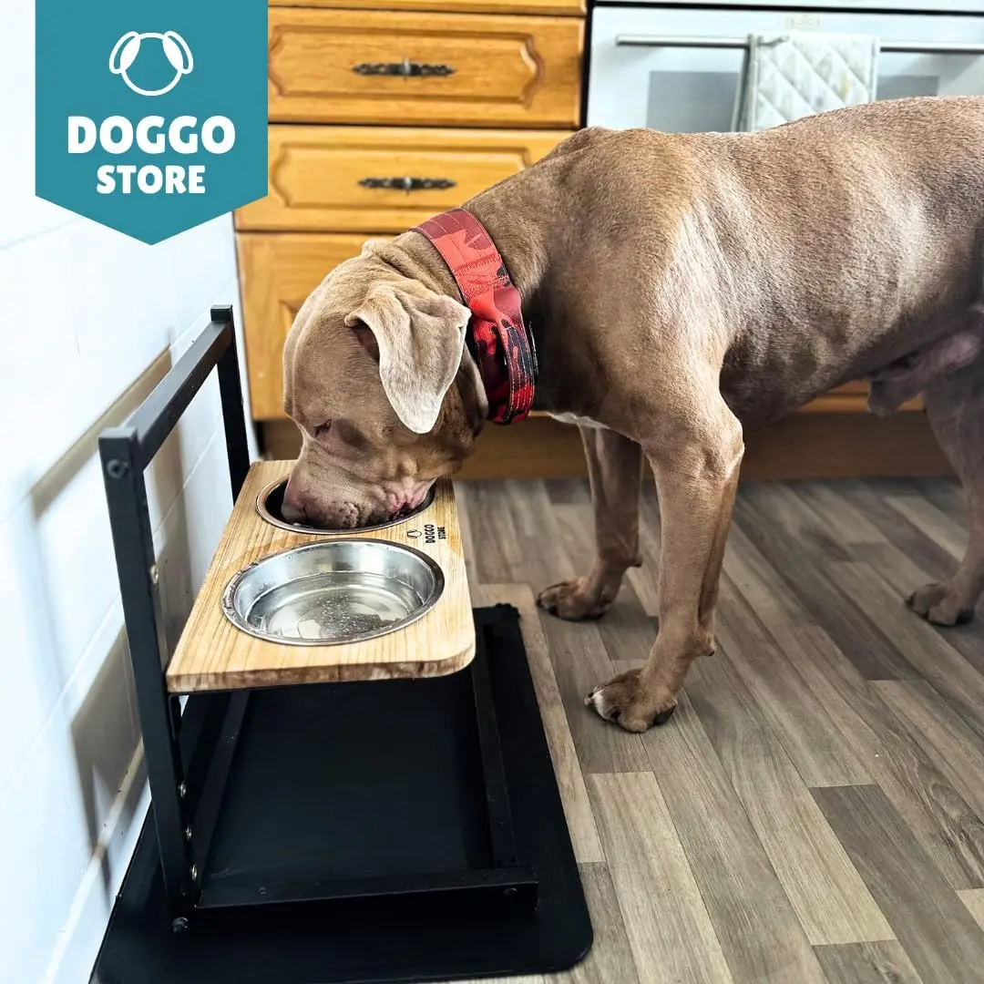 Wood  Height Adjustable Dog Bowl Stand with Slow Feeder and Non Slip Dog Food Mat and Stainless Steel Elevated Dog Bowls