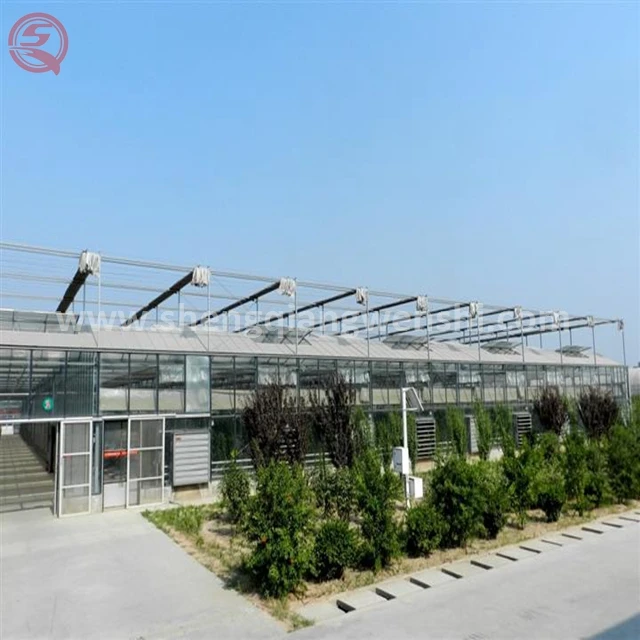 Овощеводство большая стеклянная теплица